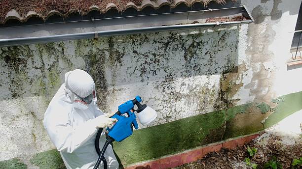 Trusted Mold Remediation service in Stevenson, WA - Cheap Mold Removal